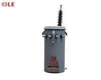 MÁY BIẾN ÁP 1 PHA AMORPHOUS 100kVA